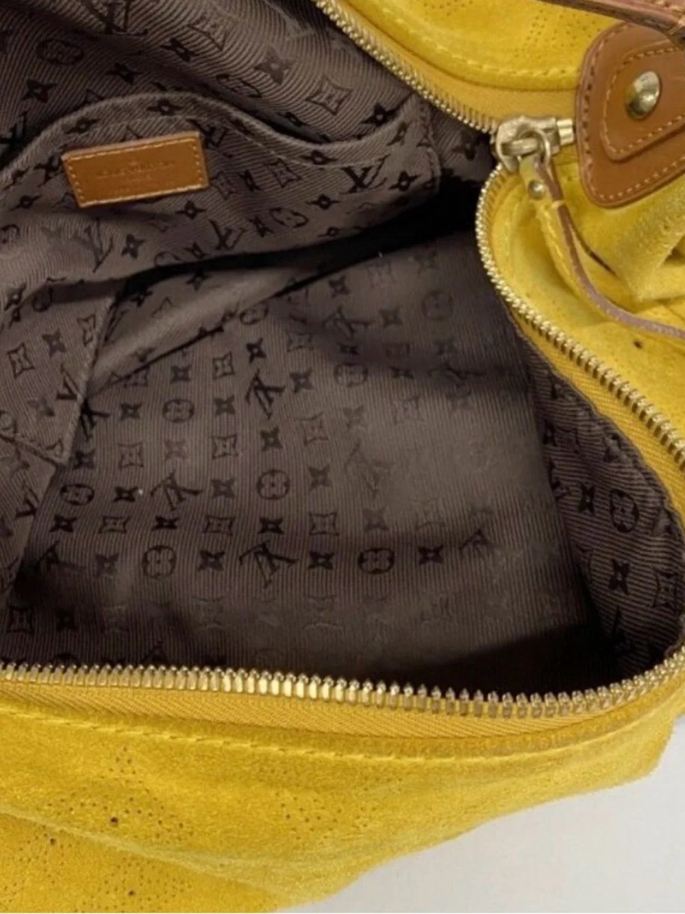 Louis Vuitton Onatah GM Suede Hobo with Brown Strap
